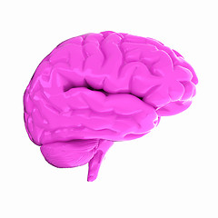 Image showing Human brain