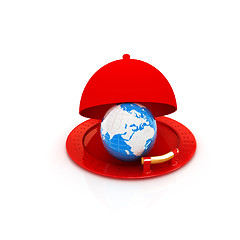 Image showing Earth globe on glossy silver dish under food cover