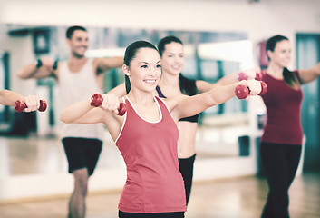 Image showing group of smiling people working out with dumbbells