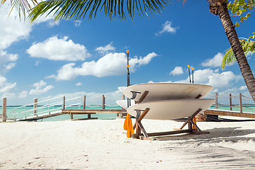 Image showing surfboards on tropical beach