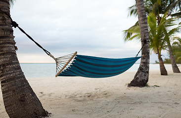 Image showing hammock on tropical beach