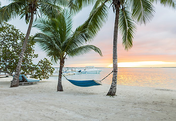 Image showing hammock on tropical beach