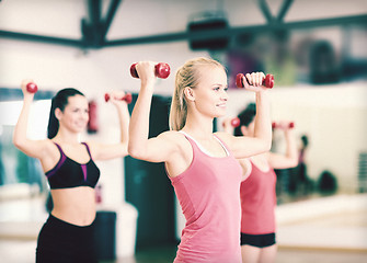 Image showing group of smiling women working out with dumbbells