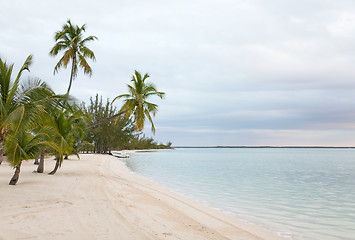 Image showing tropical beach with palm trees