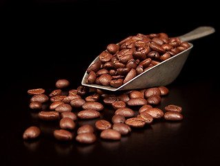 Image showing Coffee Beans in a Scoop