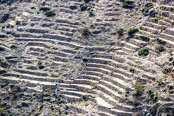 Image showing Oman Saiq Plateau