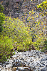 Image showing Riverbed Wadi Bani Habib