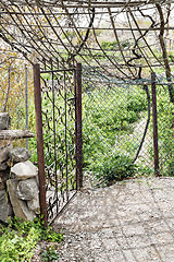 Image showing Oman garden Saiq Plateau