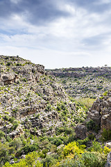 Image showing Oman Wadi Bani Habib