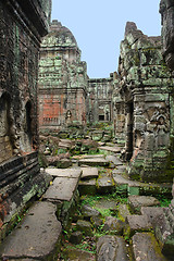 Image showing Ta Prohm