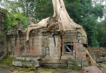 Image showing Ta Prohm