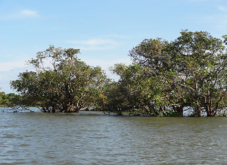 Image showing around Tonle Sap