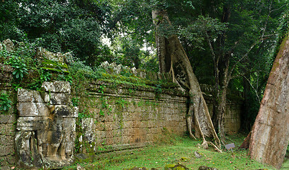 Image showing Ta Prohm