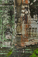 Image showing Ta Prohm