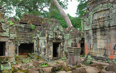 Image showing Ta Prohm