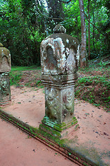 Image showing Ta Prohm