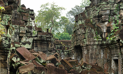 Image showing Ta Prohm