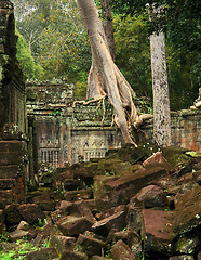 Image showing Ta Prohm