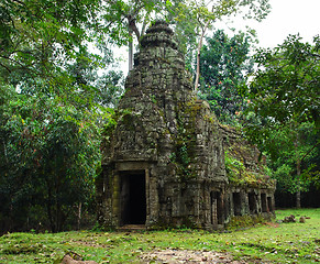 Image showing Ta Prohm