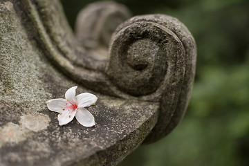 Image showing Traditional asian stone lantern