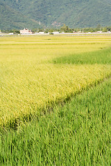 Image showing Idyllic rural scenery
