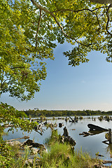 Image showing Lake landscape