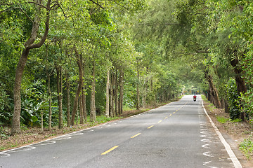 Image showing road at forest