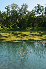 Image showing Pipa lake