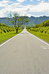 Image showing Rural landscape with road