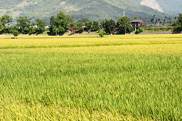 Image showing Idyllic rural scenery