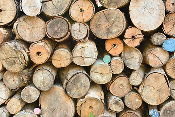 Image showing Pile of wood logs