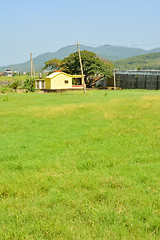 Image showing Landscape with meadow