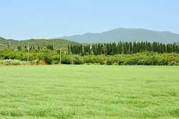 Image showing Landscape with meadow