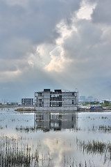 Image showing Landscape with a swamp