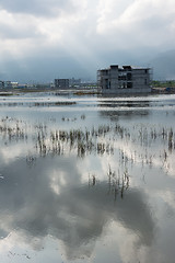 Image showing Landscape with a swamp