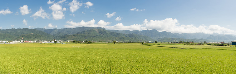 Image showing Rural scenery