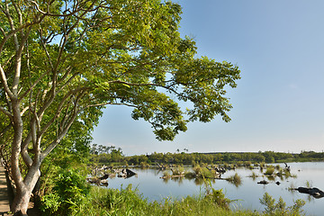 Image showing Lake landscape