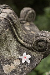 Image showing Traditional asian stone lantern