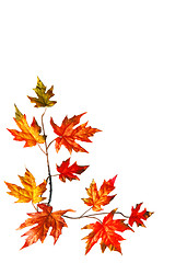 Image showing Autumn frame