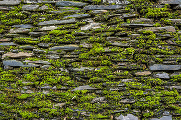 Image showing Stone wall with green moss