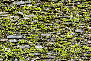 Image showing Stone wall with green moss