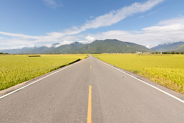 Image showing Road in rural