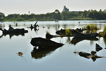 Image showing Lake with wood