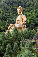 Image showing Giant copper buddha statue