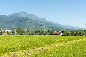 Image showing Rural scenery