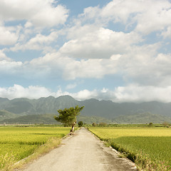 Image showing road and farm