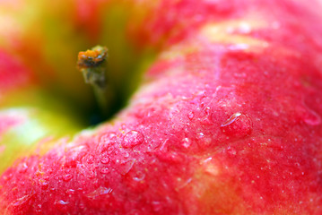 Image showing Red apple