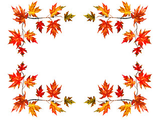 Image showing Autumn frame