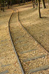 Image showing Forest with railroad