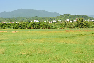 Image showing Landscape with meadow